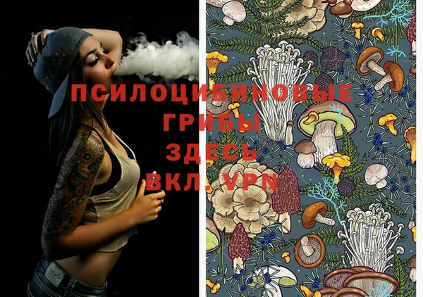 меф Абинск