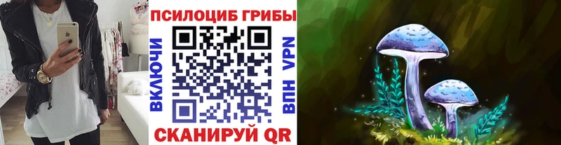 Псилоцибиновые грибы MAGIC MUSHROOMS  hydra зеркало  Новоузенск 